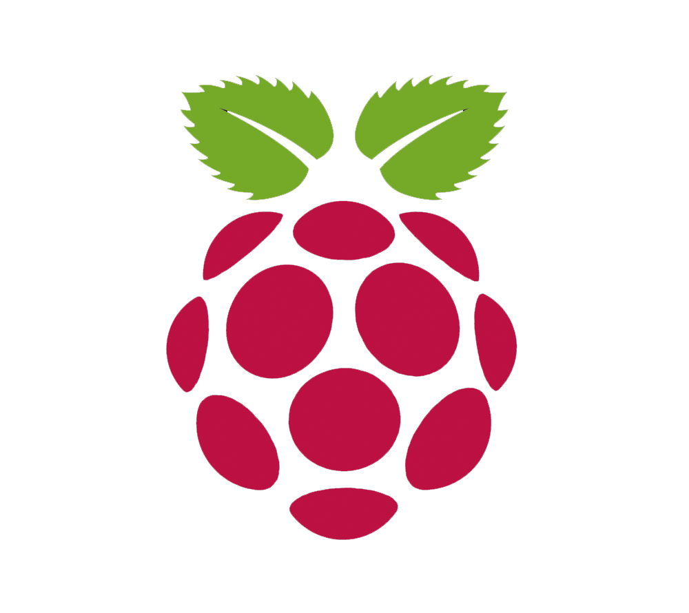 Raspberry Pi Icon